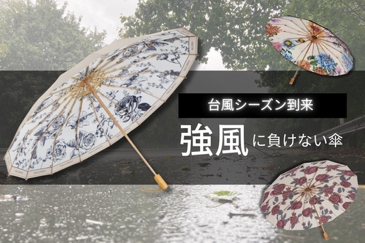 台風シーズン到来！強風に強い傘の選び方とおすすめ商品