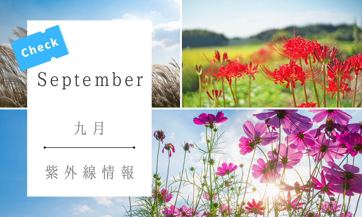 紫外線対策は夏だけでいいの？美肌を守るための秋の日焼け対策：紫外線情報9月号