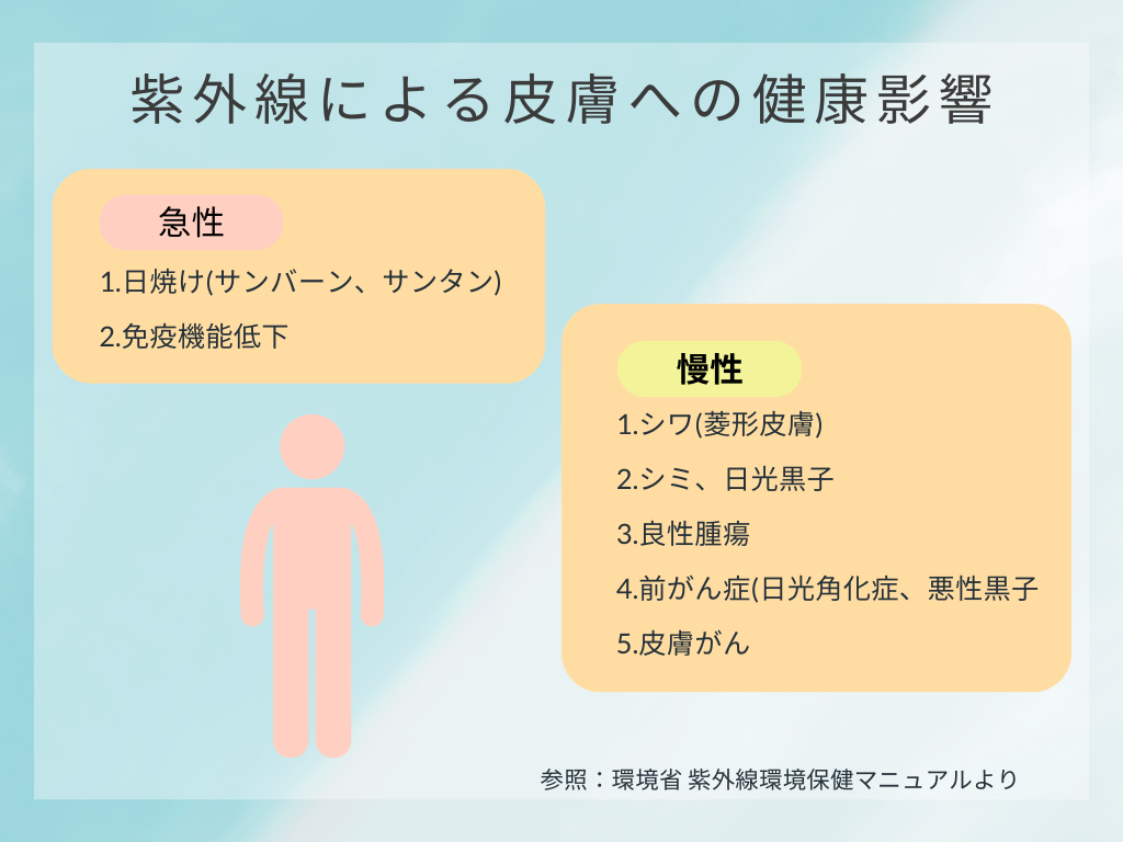紫外線対策：紫外線による皮膚への健康影響について