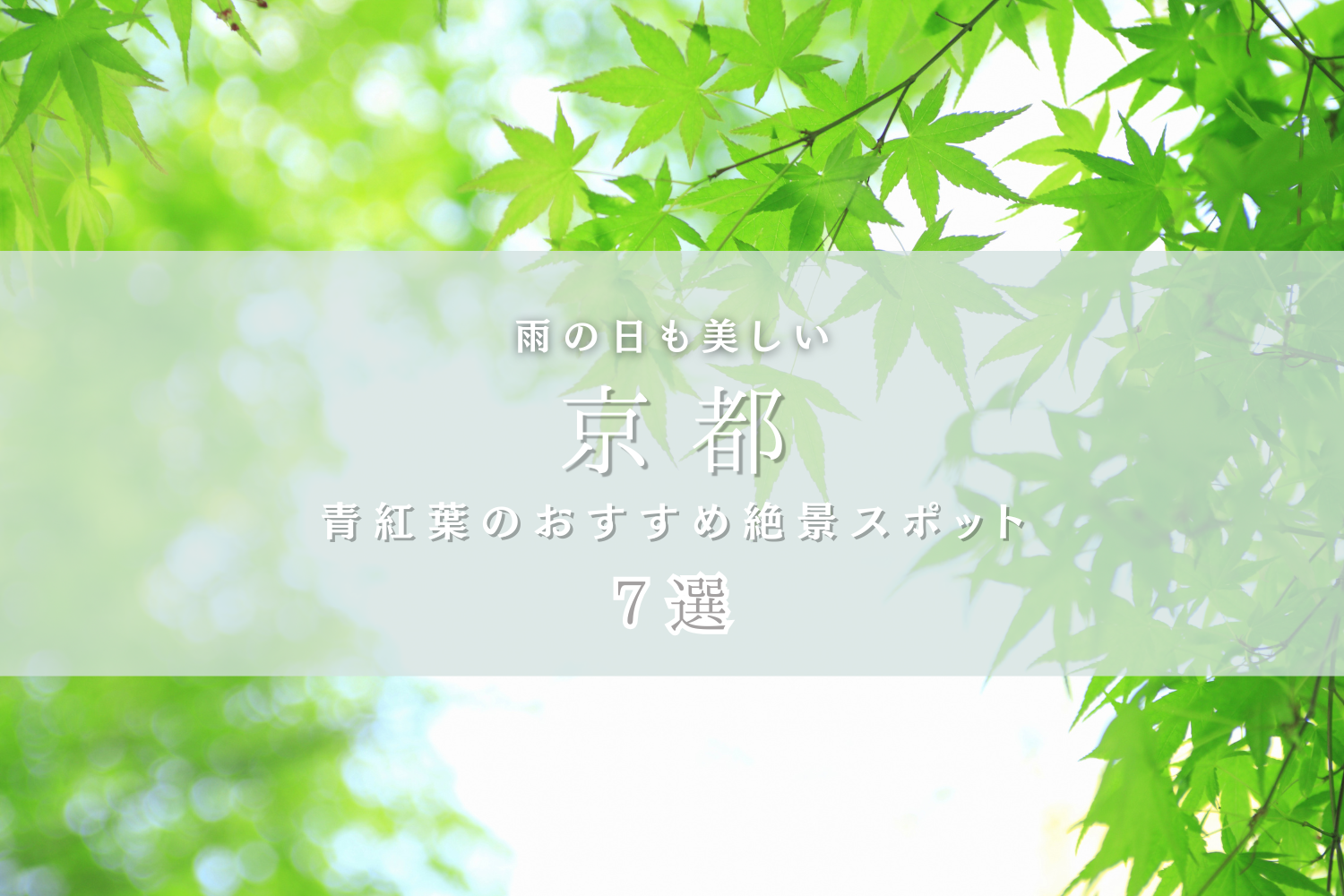 【京都】雨の日も美しい。青紅葉のおすすめスポット７選