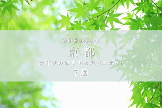 【京都】雨の日も美しい。青紅葉のおすすめスポット７選