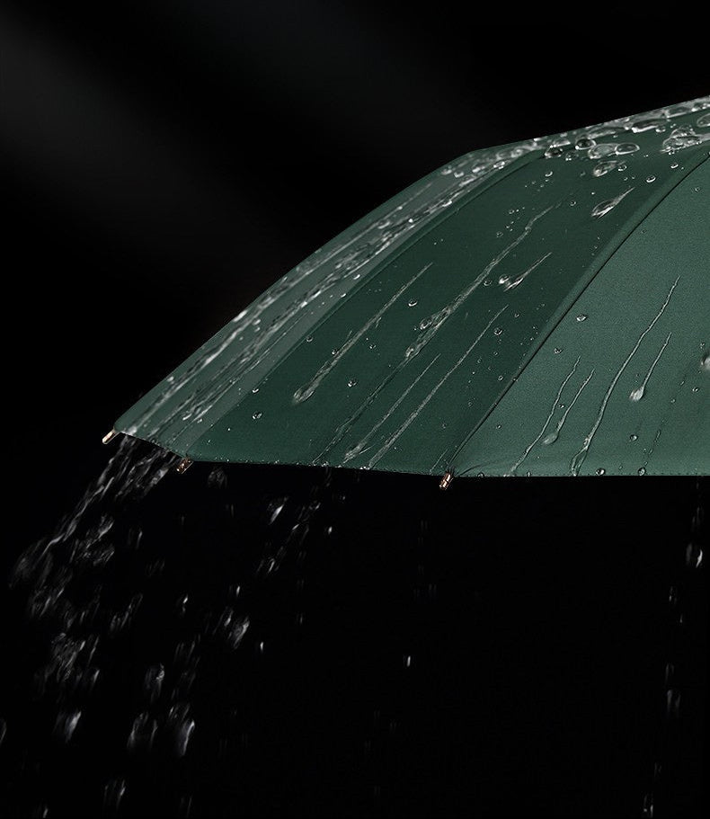 早春の静かな訪れ 晴雨兼用折りたたみ傘 16本骨 UPF50+